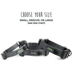 Mighty Paw Nylon Martingale Cinch Dog Collar -PetSafe Kong Shop 315209 PT3. AC SS1800 V1626472908