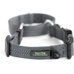 Mighty Paw Nylon Martingale Cinch Dog Collar -PetSafe Kong Shop 315209 PT5. AC SS1800 V1626468972