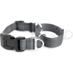 Mighty Paw Nylon Martingale Cinch Dog Collar -PetSafe Kong Shop 315209 PT6. AC SS1800 V1626470479