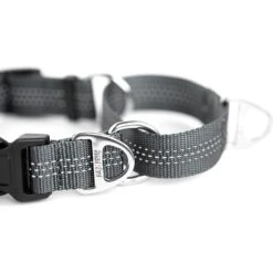 Mighty Paw Nylon Martingale Cinch Dog Collar -PetSafe Kong Shop 315209 PT8. AC SS1800 V1626471749