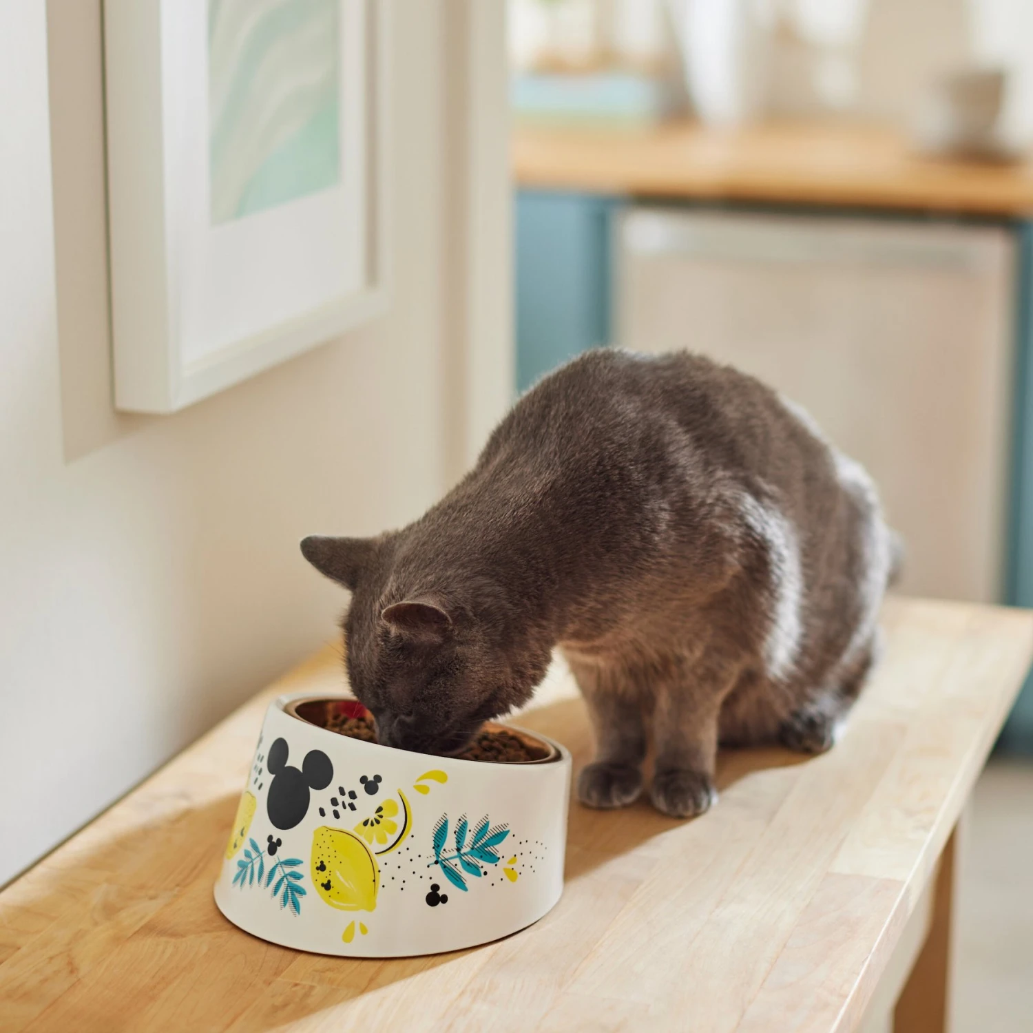 Disney Mickey Mouse Lemons Slanted Elevated Stainless Steel Dog & Cat Bowl, 1.5 Cup 4 Disney Mickey Mouse Lemons Slanted Elevated Stainless Steel Dog & Cat Bowl, 1.5 Cup - Image 4