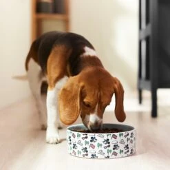 Disney Mickey Mouse Americana Non-Skid Ceramic Dog & Cat Bowl 10 Disney Mickey Mouse Americana Non-Skid Ceramic Dog & Cat Bowl -PetSafe Kong Shop 315353 PT2. AC SS1800 V1647283463