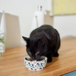 Disney Mickey Mouse Americana Non-Skid Ceramic Cat Bowl -PetSafe Kong Shop 315357 PT3. AC SS1800 V1647282308