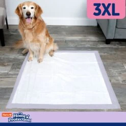 Hartz Home Protection No Odor No Leaks Lavendar Scented 3X-Large Dog Pads -PetSafe Kong Shop 315476 PT5. AC SS1800 V1689018342