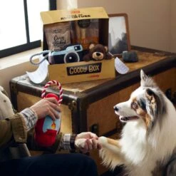 Goody Box Adventure Toys & Treats For Dogs, Medium/ Large 10 Goody Box Adventure Toys & Treats For Dogs, Medium/ Large -PetSafe Kong Shop 315642 PT2. AC SS1800 V1664572421