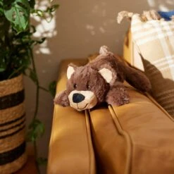 Goody Box Adventure Toys & Treats For Dogs, Medium/ Large 12 Goody Box Adventure Toys & Treats For Dogs, Medium/ Large -PetSafe Kong Shop 315642 PT4. AC SS1800 V1664572537