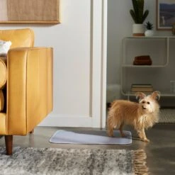 Frisco Washable Dog Potty Pads -PetSafe Kong Shop 315712 PT3. AC SS1800 V1644880410