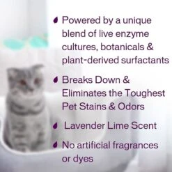 Biokleen Bac-Out Pet Stain & Odor Remover, 1-gal -PetSafe Kong Shop 316075 PT3. AC SS1800 V1632790040