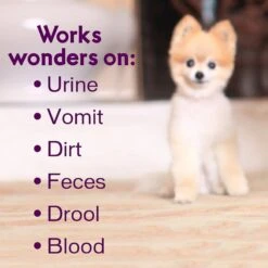 Biokleen Bac-Out Pet Stain & Odor Remover, 1-gal -PetSafe Kong Shop 316075 PT4. AC SS1800 V1632788173