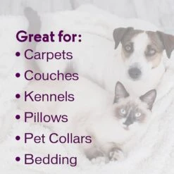 Biokleen Bac-Out Pet Stain & Odor Remover, 1-gal -PetSafe Kong Shop 316075 PT5. AC SS1800 V1632786410