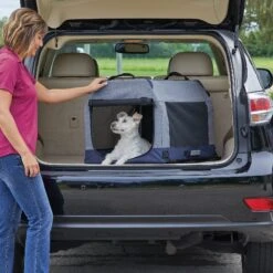 MidWest Canine Camper Dog Tent Crate -PetSafe Kong Shop 316129 PT3. AC SS1800 V1627683792