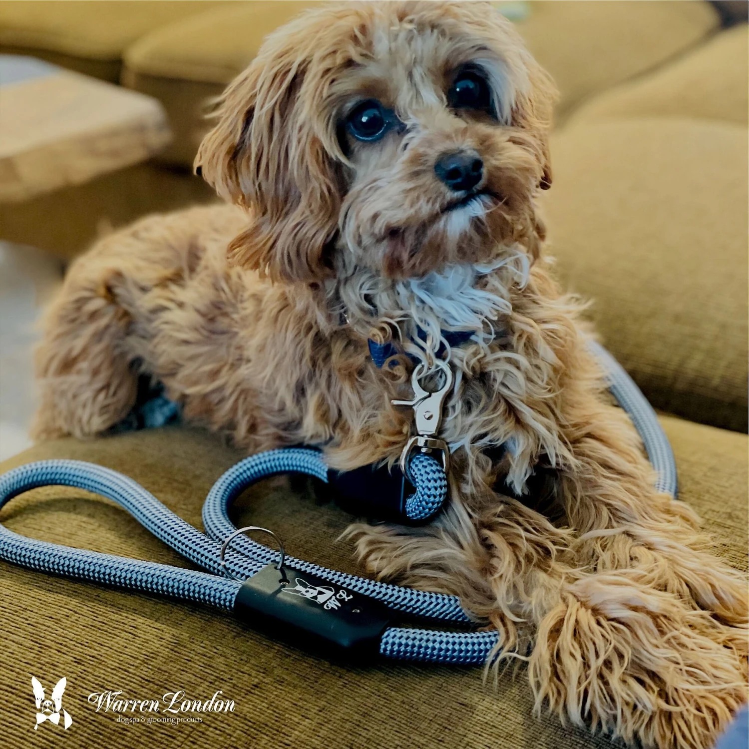 Warren London Climbing Rope Dog Leash, 5-ft 4 Warren London Climbing Rope Dog Leash, 5-ft - Image 4