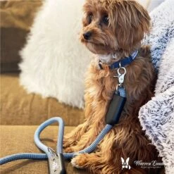 Warren London Climbing Rope Dog Leash, 5-ft 9 Warren London Climbing Rope Dog Leash, 5-ft -PetSafe Kong Shop 316244 PT4. AC SS1800 V1627309634