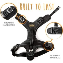 Mighty Paw Sport 2.0 Dog Harness -PetSafe Kong Shop 316285 PT7. AC SS1800 V1627309571