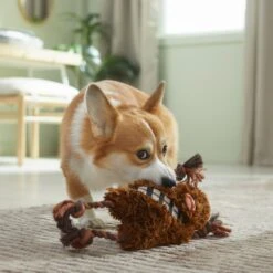 STAR WARS CHEWBACCA Plush With Rope Squeaky Dog Toy 5 STAR WARS CHEWBACCA Plush With Rope Squeaky Dog Toy -PetSafe Kong Shop 316372 PT3. AC SS1800 V1645205840