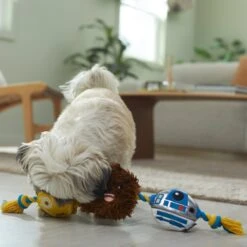 STAR WARS R2-D2, C-3PO & CHEWBACCA Plush With Rope Squeaky Dog Toy -PetSafe Kong Shop 316382 PT3. AC SS1800 V1645205539