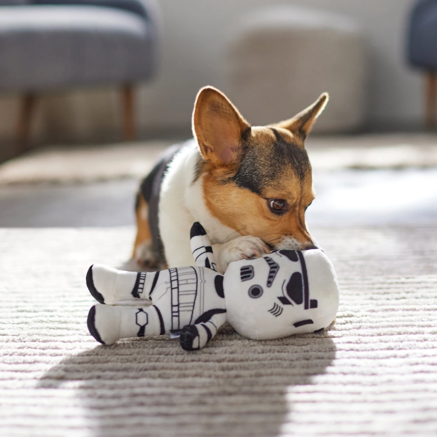 STAR WARS STORMTROOPER Plush Squeaky Dog Toy 3 STAR WARS STORMTROOPER Plush Squeaky Dog Toy - Image 3