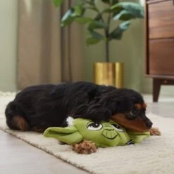 STAR WARS YODA Round Plush Squeaky Dog Toy -PetSafe Kong Shop 316394 PT3. AC SS1800 V1645205774