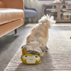 Marvel 's Loki Round Plush Squeaky Dog Toy -PetSafe Kong Shop 316400 PT3. AC SS1800 V1645205643