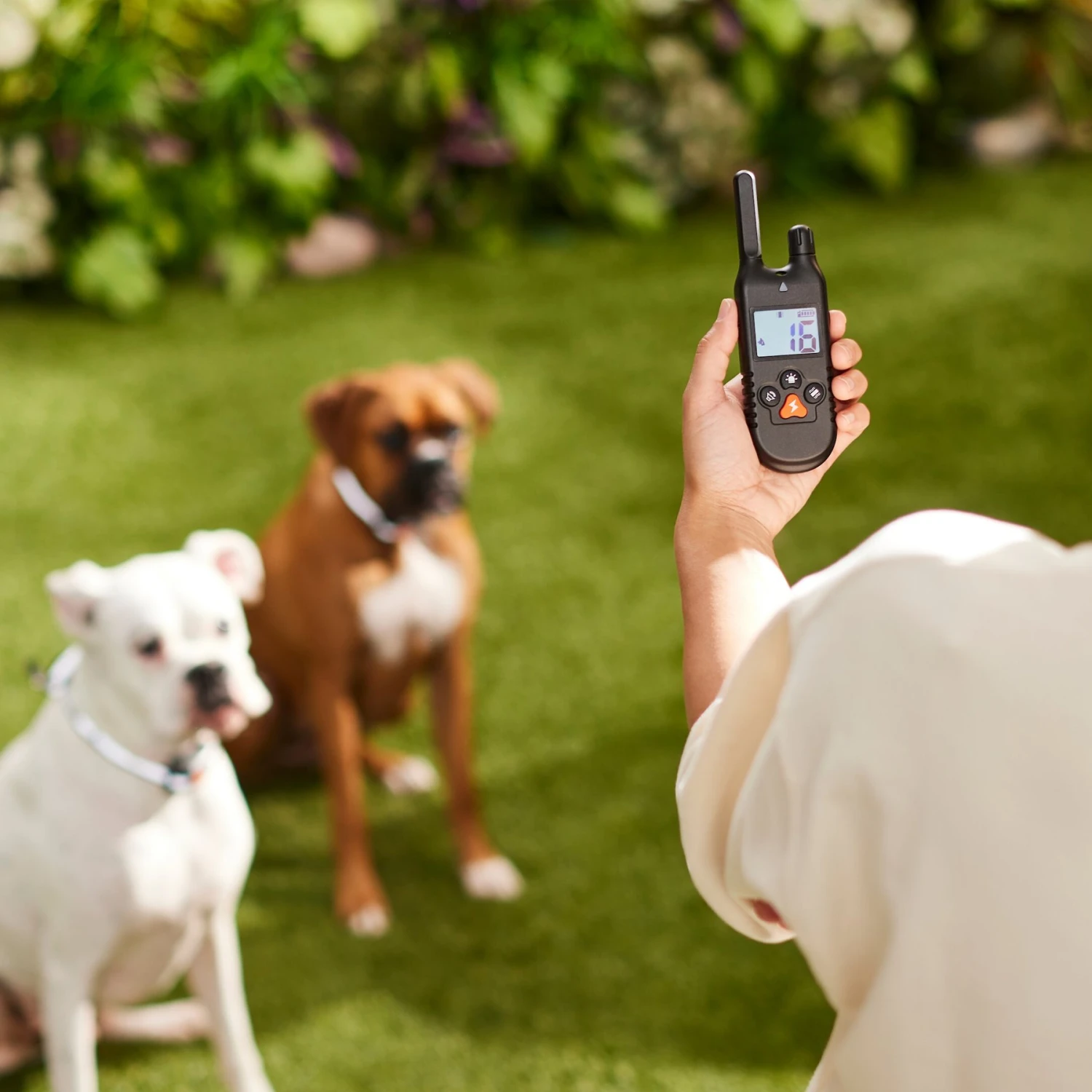 Trainer Dog Collar, Waterproof & Rechargeable With 430 Yards Range, 2 Collars 5 Trainer Dog Collar, Waterproof & Rechargeable With 430 Yards Range, 2 Collars - Image 5