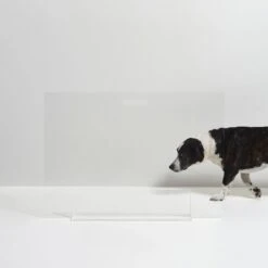 Hiddin Clear View Panel Freestanding Dog Gate -PetSafe Kong Shop 316842 PT5. AC SS1800 V1632372882