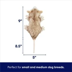 Frisco Realistic Opossum Plush Squeaky Dog Toy -PetSafe Kong Shop 316929 PT1. AC SS1800 V1695761017