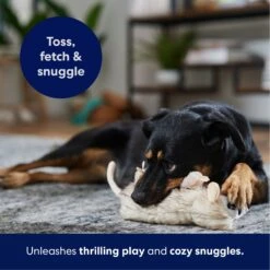 Frisco Realistic Opossum Plush Squeaky Dog Toy -PetSafe Kong Shop 316929 PT4. AC SS1800 V1695760990