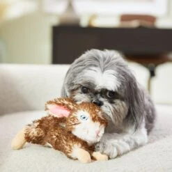 Frisco Realistic Plush Rabbit Plush Dog Toy, Small -PetSafe Kong Shop 316933 PT2. AC SS1800 V1641400634