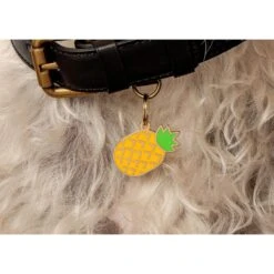 Two Tails Pet Company Personalized Pineapple Dog & Cat ID Tag -PetSafe Kong Shop 317486 PT2. AC SS1800 V1628805454