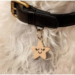 Two Tails Pet Company Personalized Smiling Star Dog & Cat ID Tag -PetSafe Kong Shop 317494 PT2. AC SS1800 V1628807774