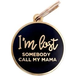 Two Tails Pet Company Personalized I'm Lost Dog & Cat ID Tag