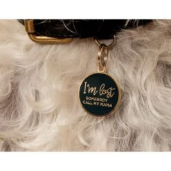 Two Tails Pet Company Personalized I'm Lost Dog & Cat ID Tag -PetSafe Kong Shop 317513 PT2. AC SS1800 V1628806359