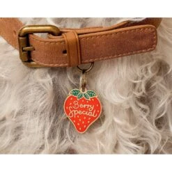 Two Tails Pet Company Personalized Berry Special Dog & Cat ID Tag -PetSafe Kong Shop 317516 PT2. AC SS1800 V1628808148