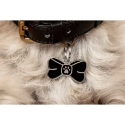 Two Tails Pet Company Personalized Bowtie Dog & Cat ID Tag 7 Two Tails Pet Company Personalized Bowtie Dog & Cat ID Tag -PetSafe Kong Shop 317530 PT2. AC SS1800 V1628805746