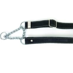 Euro-Dog Luxury Leather Martingale Dog Collar -PetSafe Kong Shop 318023 PT2. AC SS1800 V1633569466
