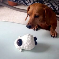 Rocket & Rex Squeakers, Rope & Plush Dog Toy Gift Set, 3 Count -PetSafe Kong Shop 318047 PT3. AC SS1800 V1632175874