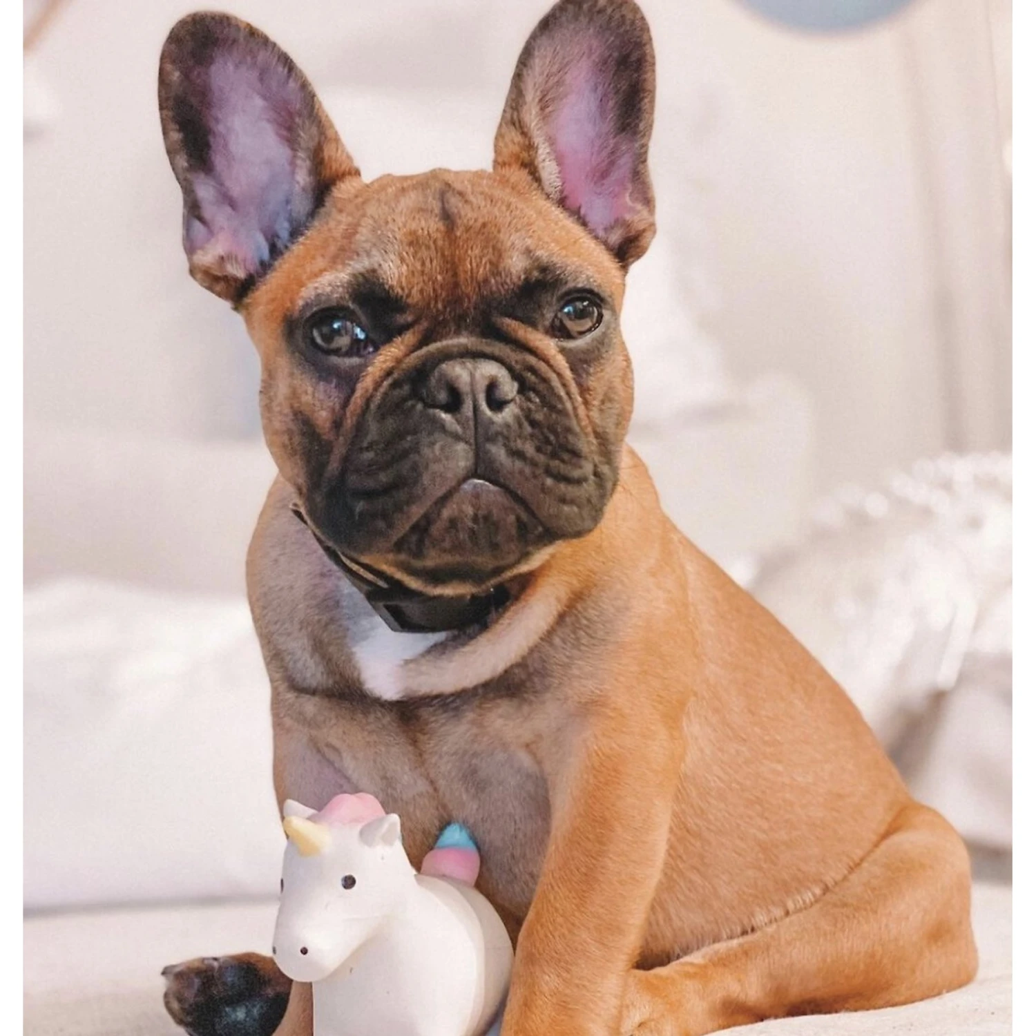 Rocket & Rex Oh My! Unicorn Stuffing-Free Squeaky Plush Dog Chew Toy Set, 3 Count 3 Rocket & Rex Oh My! Unicorn Stuffing-Free Squeaky Plush Dog Chew Toy Set, 3 Count - Image 3