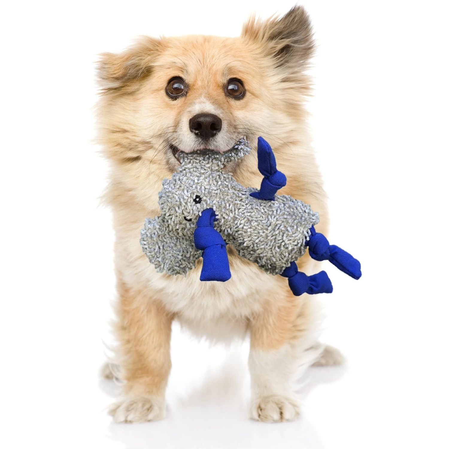 Rocket & Rex Oh My! Unicorn Stuffing-Free Squeaky Plush Dog Chew Toy Set, 3 Count 5 Rocket & Rex Oh My! Unicorn Stuffing-Free Squeaky Plush Dog Chew Toy Set, 3 Count - Image 5