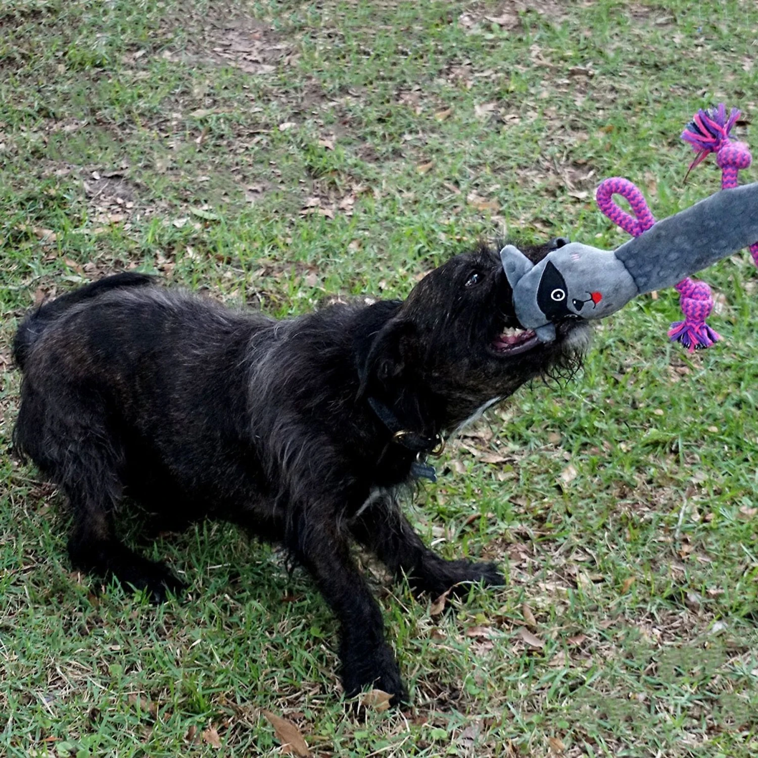 Rocket & Rex Oh My! Unicorn Stuffing-Free Squeaky Plush Dog Chew Toy Set, 3 Count 6 Rocket & Rex Oh My! Unicorn Stuffing-Free Squeaky Plush Dog Chew Toy Set, 3 Count - Image 6