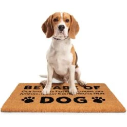 BirdRock Home Beware Of Dog' Coir Doormat -PetSafe Kong Shop 318101 PT3. AC SS1800 V1635782201