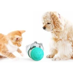 Hanamya Interactive Balanced Rotating Dispensing Dog & Cat Toy -PetSafe Kong Shop 318119 PT5. AC SS1800 V1636676778