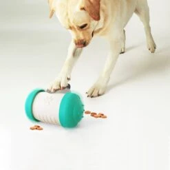 Hanamya Interactive Balanced Rotating Dispensing Dog & Cat Toy -PetSafe Kong Shop 318119 PT7. AC SS1800 V1636675620