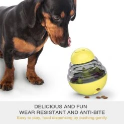 Hanamya Interactive Food/Treats Dispensing Dog Toy -PetSafe Kong Shop 318128 PT2. AC SS1800 V1703881074