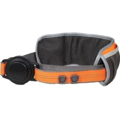 Penn-Plax Bungee Belt Combo Dog Leash, Orange/Black, Large -PetSafe Kong Shop 318184 PT6. AC SS1800 V1632890182