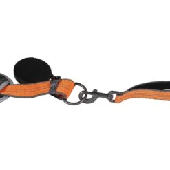 Penn-Plax Bungee Belt Combo Dog Leash, Orange/Black, Large -PetSafe Kong Shop 318184 PT7. AC SS1800 V1632889889