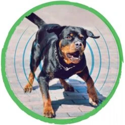 PawPerfect Anti-Bark Dog Trainer 8 PawPerfect Anti-Bark Dog Trainer -PetSafe Kong Shop 318450 PT2. AC SS1800 V1628122607