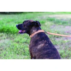 Euro-Dog Sport Style Luxury Leather Dog Leash, Large 3 Euro-Dog Sport Style Luxury Leather Dog Leash, Large -PetSafe Kong Shop 318890 PT3. AC SS1800 V1631764304