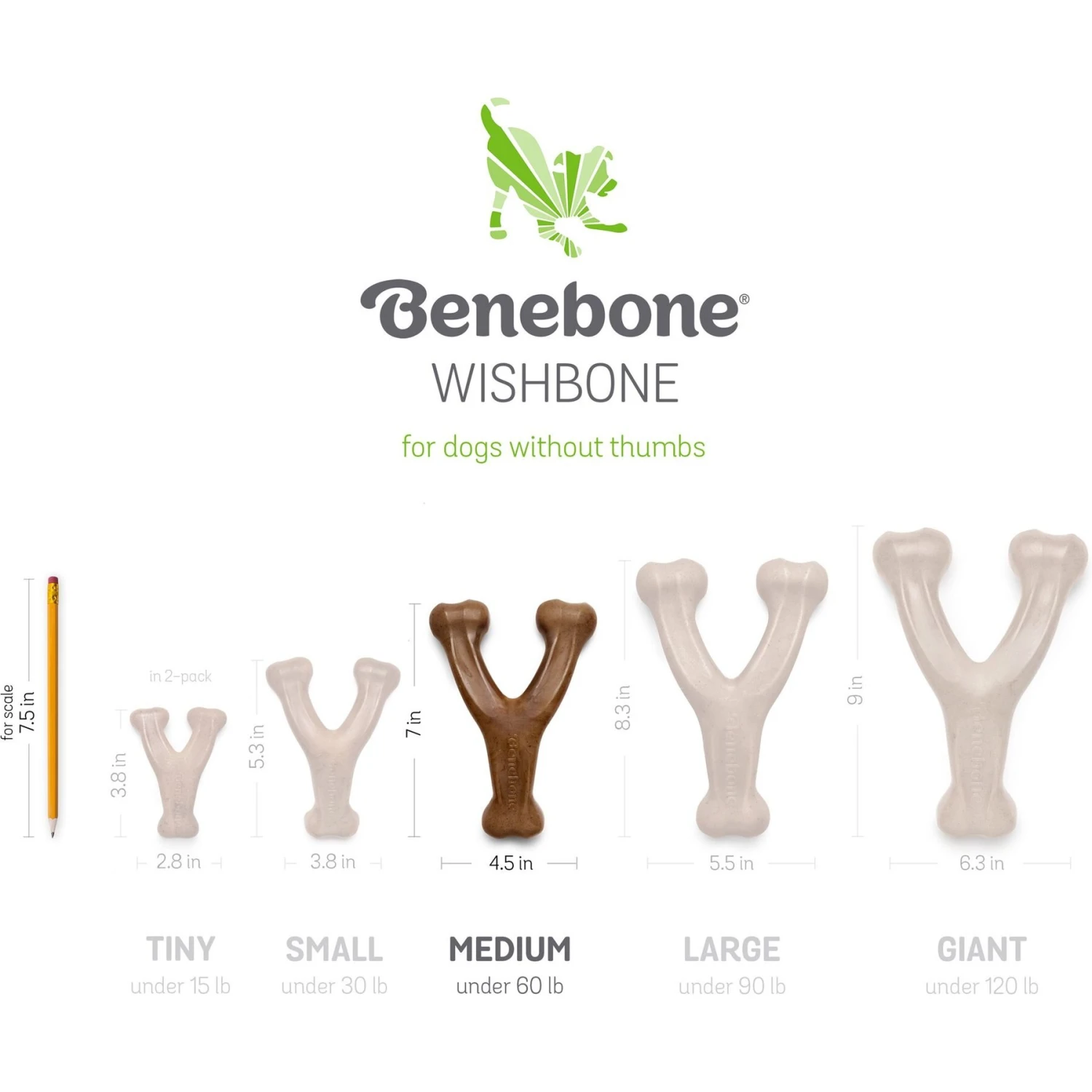 Benebone Bacon Flavor Wishbone Tough Dog Chew Toy & Benebone Bacon Flavor Dental Tough Dog Chew Toy 5 Benebone Bacon Flavor Wishbone Tough Dog Chew Toy & Benebone Bacon Flavor Dental Tough Dog Chew Toy - Image 5