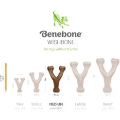 Benebone Bacon Flavor Wishbone Tough Dog Chew Toy & Playology Scented Dri-Tech Rope Dog Toy -PetSafe Kong Shop 318896 PT4. AC SS1800 V1702499102