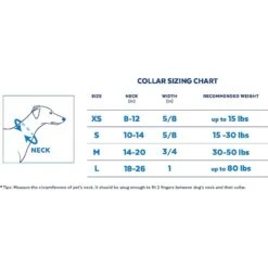 Disney Minnie Mouse Hawaiian Dog Collar & Disney Minnie Mouse Hawaiian Dog Leash -PetSafe Kong Shop 318928 PT4. AC SS1800 V1631147794